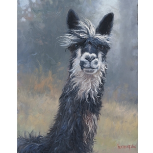 Smiley Jane Alpaca by Mark Keathley