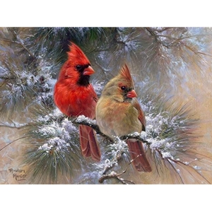 Cardinals in Evergreen by Abraham Hunter